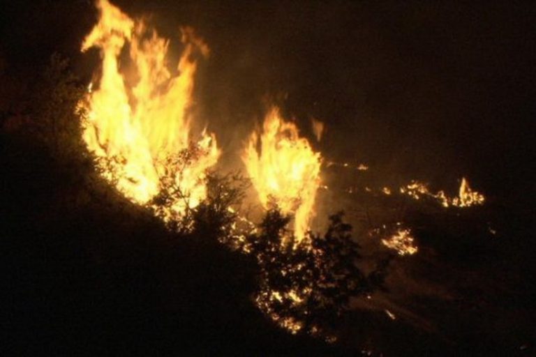 Локализиран пожарот кај Прилепец