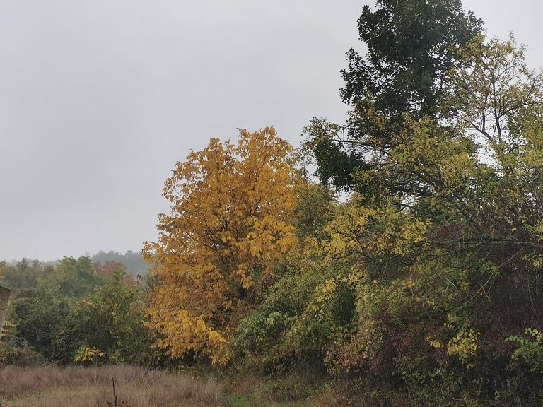 До вторник стабилно време, во среда локален дожд, од четврток температурите во пораст